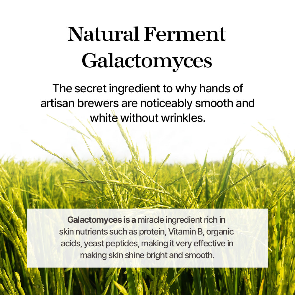 mixsoon Galactomyces Ferment Essence 100ml