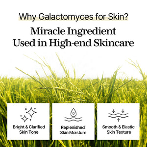 mixsoon Galactomyces Toner Pad