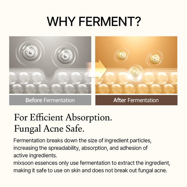 mixsoon 1+1 Bean Essence 50ml