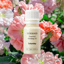 mixsoon Essential Blending Oil Saturday