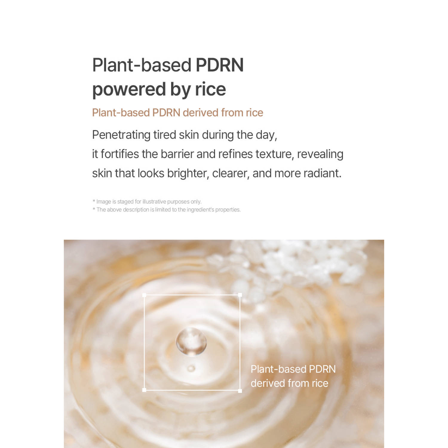 mixsoon Black Rice Peeling Ampoule 100ml